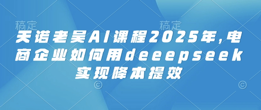 天诺老吴AI课程2025年,电商企业如何用deeepseek实现降本提效-资源宝库