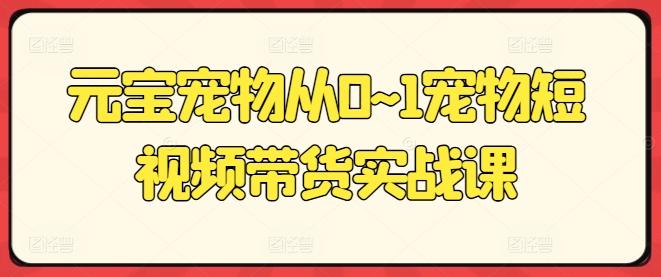 元宝宠物从0~1宠物短视频带货实战课-资源宝库