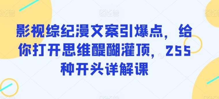 影视综纪漫文案引爆点，给你打开思维醍醐灌顶，255种开头详解课-资源宝库