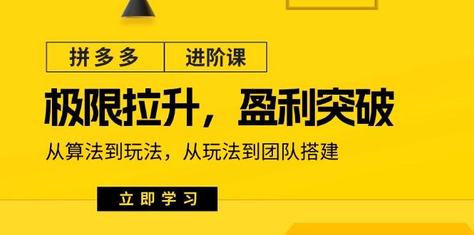 拼多多·进阶课：极限拉升/盈利突破：从算法到玩法 从玩法到团队搭建-18节-资源宝库