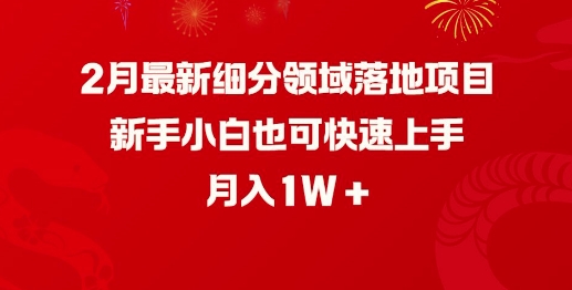 2月最新细分领域落地项目,新手小白也可快速上手,月入1W-资源宝库