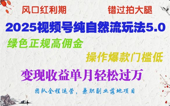 2025视频号纯自然流玩法5.0，绿色正规高佣金，操作爆款门槛低，变现收益单月轻松过万-资源宝库