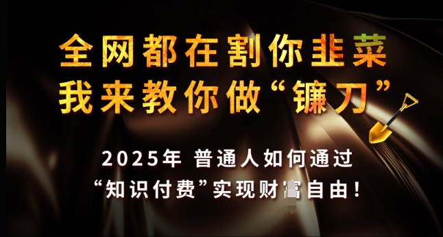 全网都在割你韭菜，我来教你做镰刀，2025年普通人如何通过 知识付费 实现财F自由【揭秘】-资源宝库
