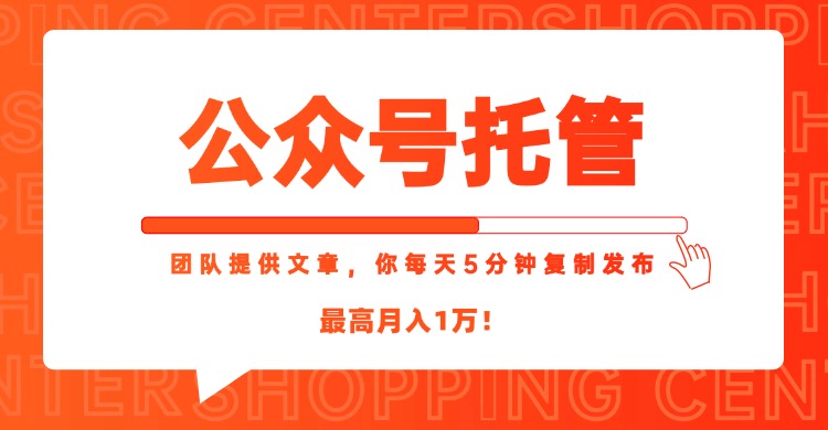 【公众号托管 】我提供文章,你每天5分钟复制发布,最高月入1W-资源宝库