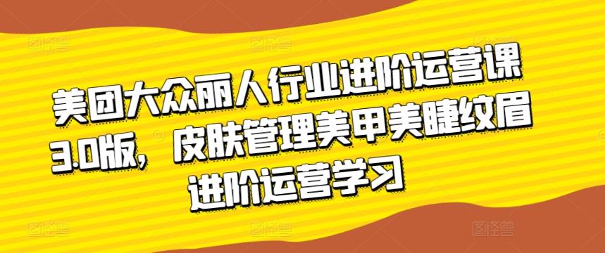 美团大众丽人行业进阶运营课3.0版，皮肤管理美甲美睫纹眉进阶运营学习-资源宝库