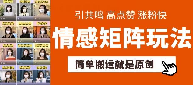 简单搬运，情感矩阵玩法，涨粉速度快，可带货，可起号【揭秘】-资源宝库