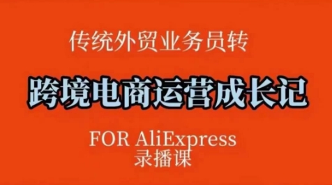 跨境电商速卖通运营课，​运营方法论+后台实操，逻辑清晰-资源宝库