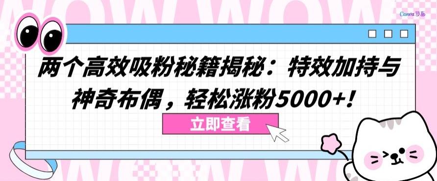 两个高效吸粉秘籍揭秘：特效加持与神奇布偶，轻松涨粉5000+【揭秘】-资源宝库