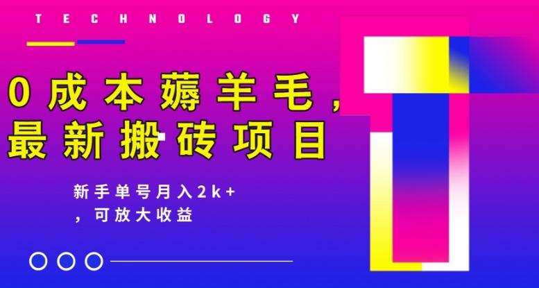 0成本薅羊毛，最新搬砖项目，新手单号月入2k+，可放大操作-资源宝库