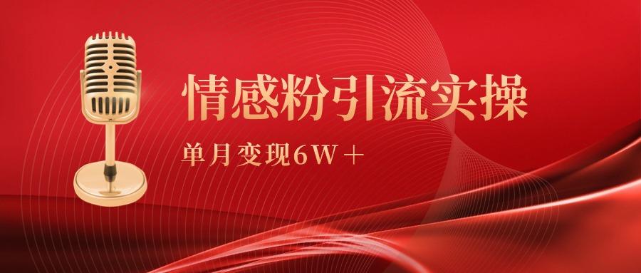 (9473期)单月变现6w+，情感粉引流变现实操课-资源宝库