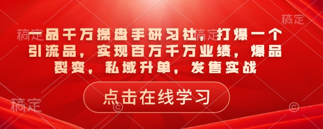一品千万操盘手研习社,打爆一个引流品,实现百万千万业绩,爆品裂变,私域升单,发售实战-资源宝库