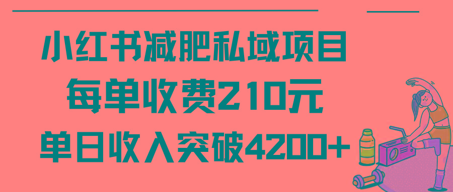 (9466期)小红书减肥私域项目每单收费210元单日成交20单，最高日入4200+-资源宝库