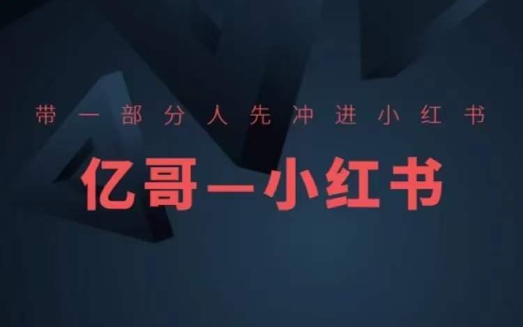 ​​带一部分人先冲进小红书，小红书开店、选品、爆款裂变-资源宝库