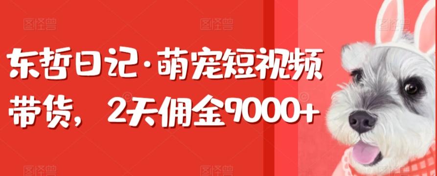 东哲日记·萌宠短视频带货，2天佣金9000+-资源宝库