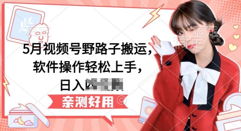 5月视频号野路子搬运，软件操作轻松上手，日入三位数【揭秘】-资源宝库