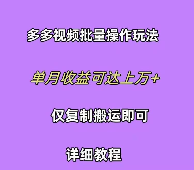 (10029期)拼多多视频带货快速过爆款选品教程 每天轻轻松松赚取三位数佣金 小白必…-资源宝库