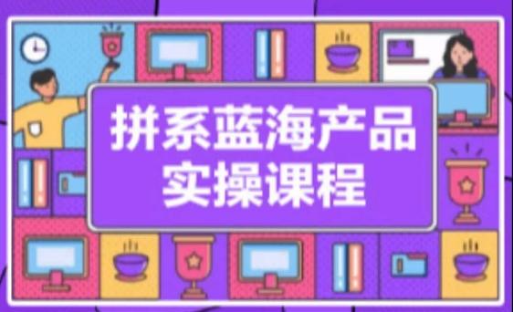 拼系冷门蓝海产品实操课程，从注册店铺到选品上架到流量维护环环相扣-资源宝库