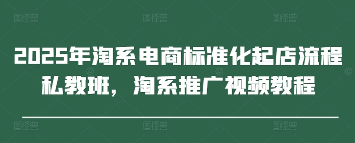 2025年淘系电商标准化起店流程私教班,淘系推广视频教程-资源宝库