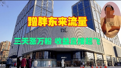 蹭胖东来流量,三天涨万粉,收益直接起飞-资源宝库