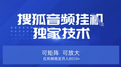 【搜狐音频挂G】独家技术,可矩阵可放大,红利期稳定月入8k【揭秘】-资源宝库