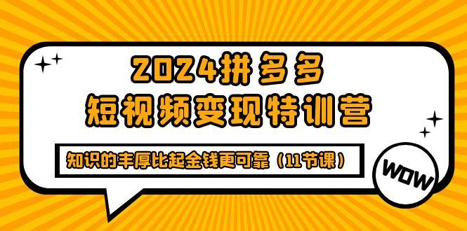 (9817期)2024拼多多短视频变现特训营，知识的丰厚比起金钱更可靠(11节课)-资源宝库