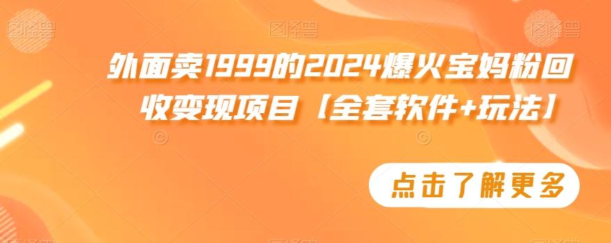 外面卖1999的2024爆火宝妈粉回收变现项目【全套软件+玩法】【揭秘】-资源宝库
