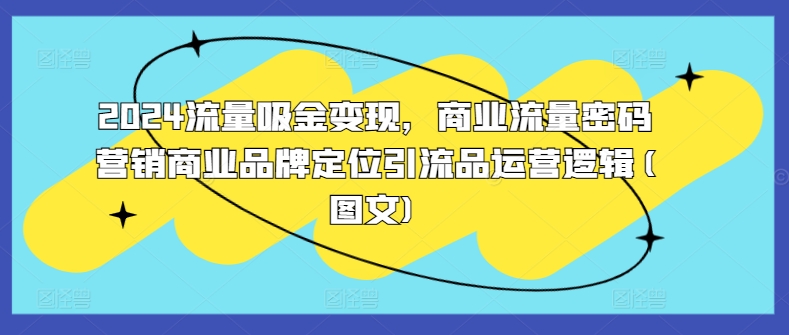 2024流量吸金变现，商业流量密码营销商业品牌定位引流品运营逻辑(图文)-资源宝库