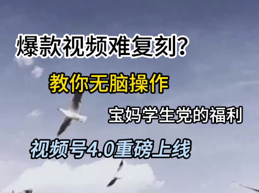 视频号4.0重磅上线，爆款视频难复刻？教你无脑操作宝妈学生党的福利【揭秘】-资源宝库