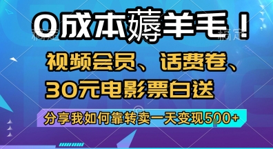 0成本薅羊毛!视频会员、话费卷、30元电影票白送,分享我如何靠转卖一天变现5张+【揭秘】-资源宝库