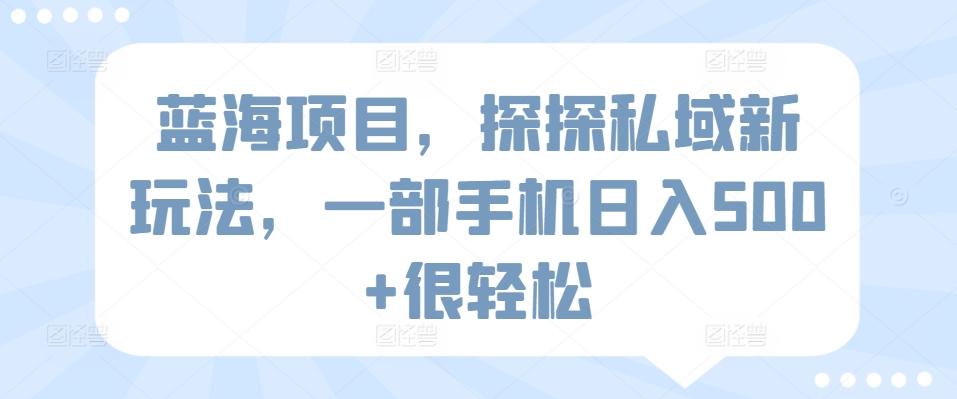 蓝海项目，探探私域新玩法，一部手机日入500+很轻松【揭秘】-资源宝库