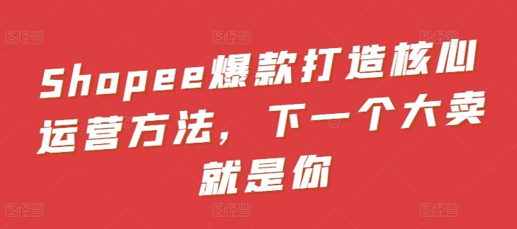 Shopee爆款打造核心运营方法，下一个大卖就是你-资源宝库