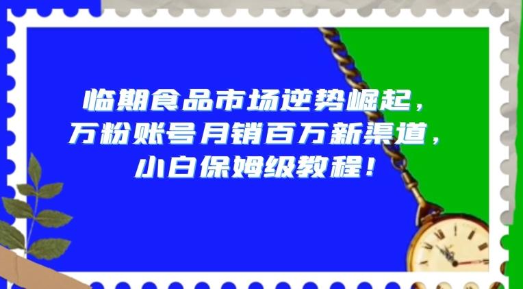 临期食品市场逆势崛起，万粉账号月销百万新渠道，小白保姆级教程【揭秘】-资源宝库