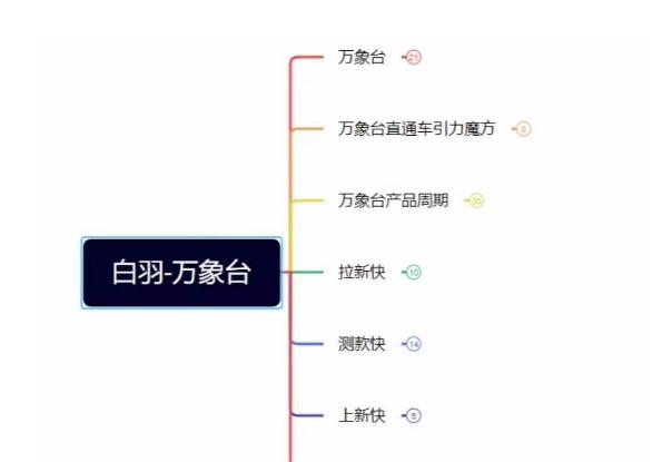 白羽·直引万搜索全篇，从0-1，多个类目实操经验总结付费-资源宝库
