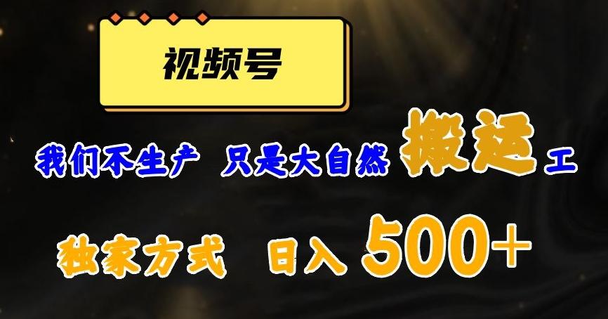 视频号轻松搬运日赚500+，一个1分钟1条原创视频【揭秘】-资源宝库
