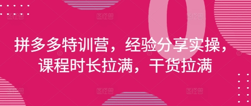 拼多多特训营，经验分享实操，课程时长拉满，干货拉满(更新25年4月)-资源宝库