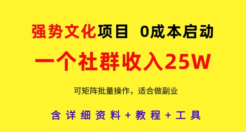 强势文化项目，一个社群收入25个W，0成本启动，可矩阵批量操作，原创详细实操教程-资源宝库