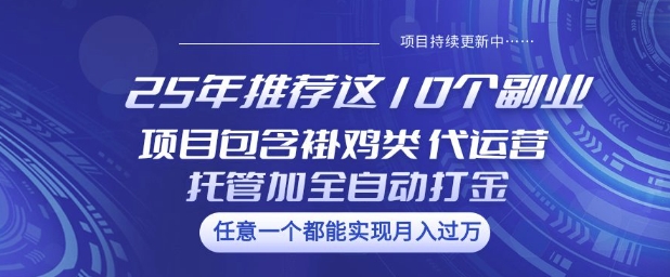 25年推荐这10个副业项目包含褂鸡类、代运营托管类、全自动打金类【揭秘】-资源宝库