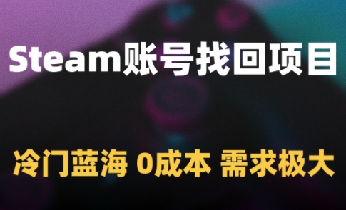 Steam账号找回项目，冷门蓝海，0成本，需求极大-资源宝库