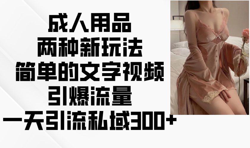 成人用品两种新玩法，简单的文字视频引爆流量，一天引流私域300+-资源宝库