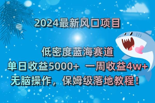 (8545期)2024最新风口项目 低密度蓝海赛道，日收益5000+周收益4w+ 无脑操作，保...-资源宝库
