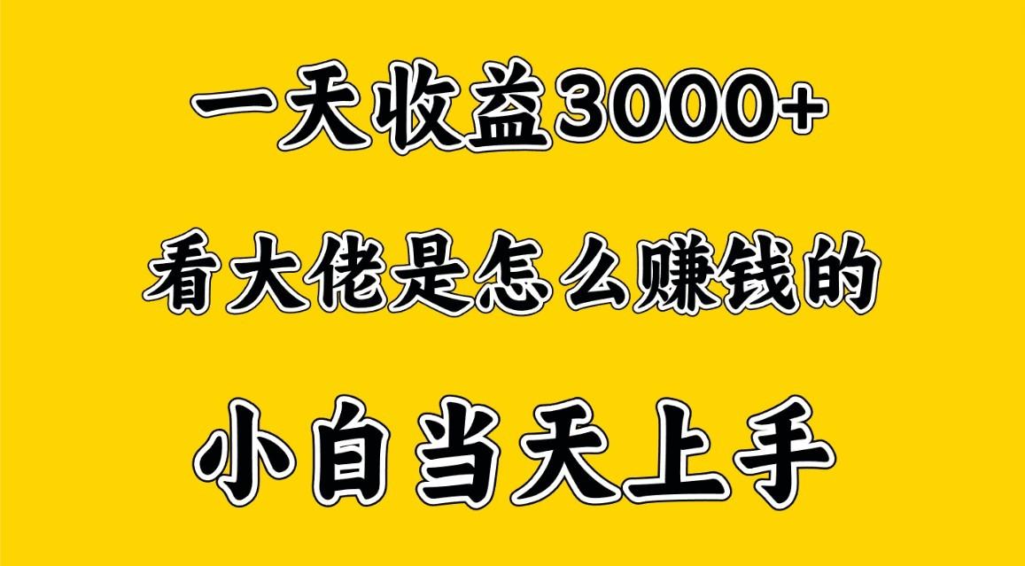 一天赚3000多，大佬是这样赚到钱的，小白当天上手，穷人翻身项目-资源宝库