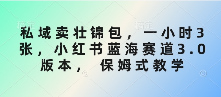 私域卖壮锦包，一小时3张，小红书蓝海赛道3.0版本， 保姆式教学-资源宝库