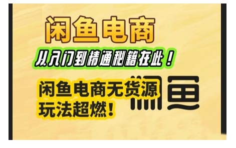 闲鱼电商实战课，从入门到精通秘籍在此，闲鱼电商无货源玩法超燃!-资源宝库