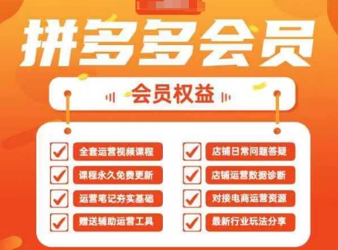 2025拼多多运营实战课，40节全流程教学，覆盖拼多多运营全链路-资源宝库