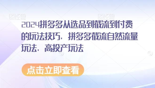 2024拼多多从选品到截流到付费的玩法技巧，拼多多截流自然流量玩法，高投产玩法-资源宝库