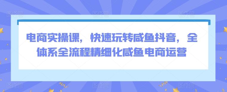 电商实操课，快速玩转咸鱼抖音，全体系全流程精细化咸鱼电商运营-资源宝库