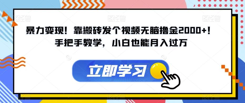 暴力变现！靠搬砖发个视频无脑撸金2000+！手把手教学，小白也能月入过万【揭秘】-资源宝库