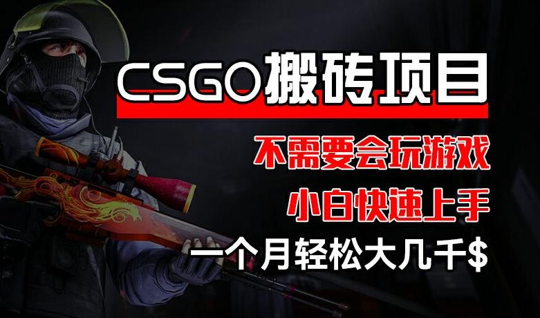 CSGO 装备搬砖项目，操作简单，不需要会玩游戏，小白也能快速上手，一个月轻松大几千【揭秘】-资源宝库