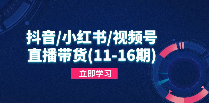 抖音/小红书/视频号/直播带货(11-16期-资源宝库