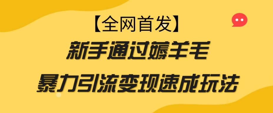 【全网首发】新手通过薅羊毛暴力引流变现速成玩法-资源宝库